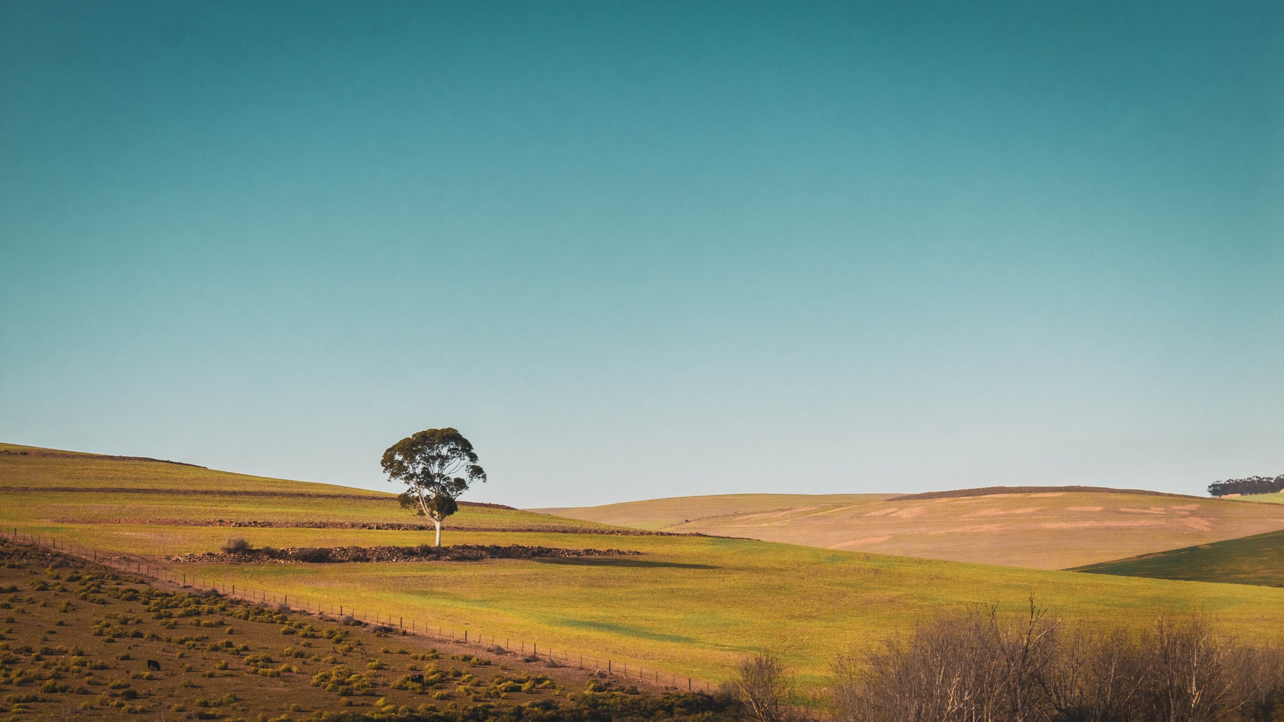 Things to Have If You Live In a Remote Area