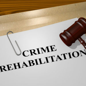 Beyond the Conviction Addressing the Root Causes of Felony Offenses in New Jersey